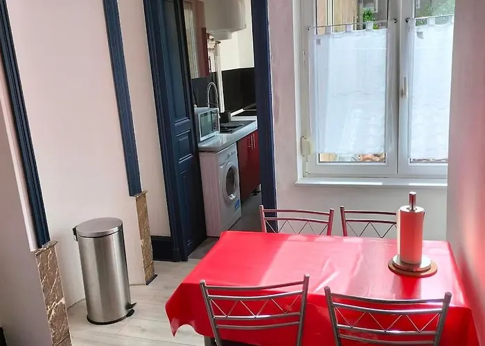 Charles Iii Hyper Centre 2 Pers -menage Ecologique Appartement Nancy