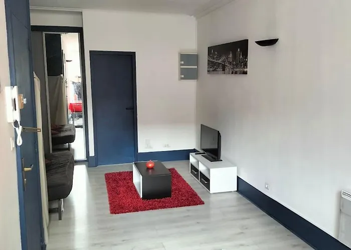 Appartement Charles Iii Hyper Centre 2 Pers -menage Ecologique Nancy