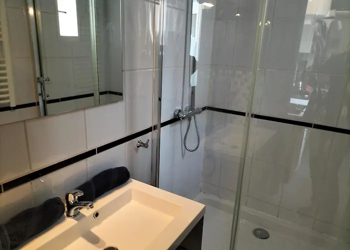 Appartement Charles Iii Hyper Centre 2 Pers -menage Ecologique Nancy