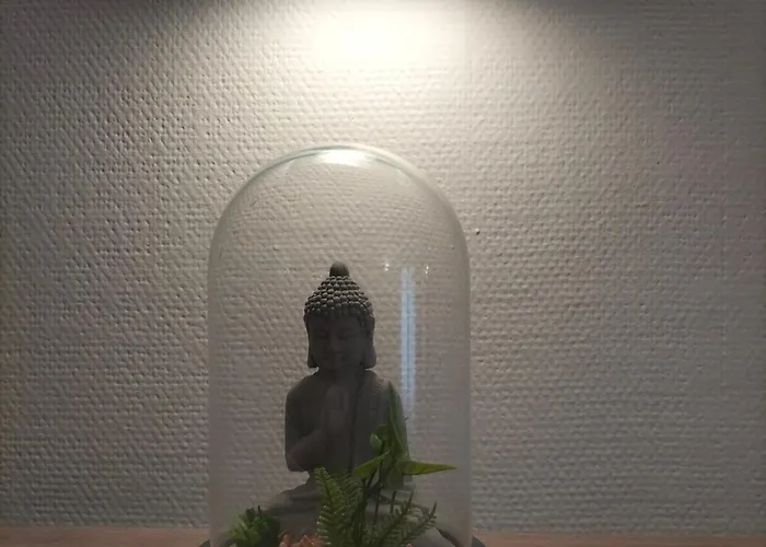 Charles Iii Hyper Centre 2 Pers -menage Ecologique Appartement Nancy